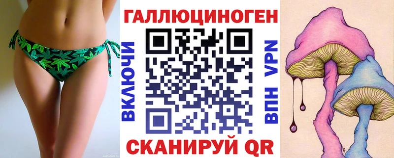 omg ONION  купить  цена  Холм  Псилоцибиновые грибы ЛСД 